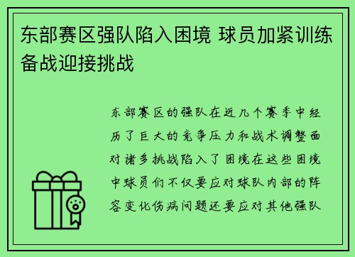 东部赛区强队陷入困境 球员加紧训练备战迎接挑战
